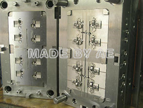 Mould-5